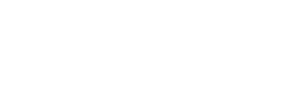 Logo AQI - Académie de Quantapraticiens internationale